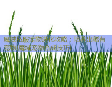 魔域私服宠物进化攻略：培养出稀有宠物(魔域宠物合成技巧)